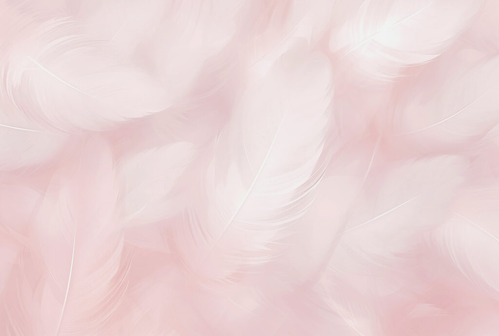 Gros plan sur les plumes Gros plan sur les plumes