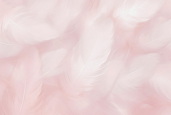 Gros plan sur les plumes Gros plan sur les plumes