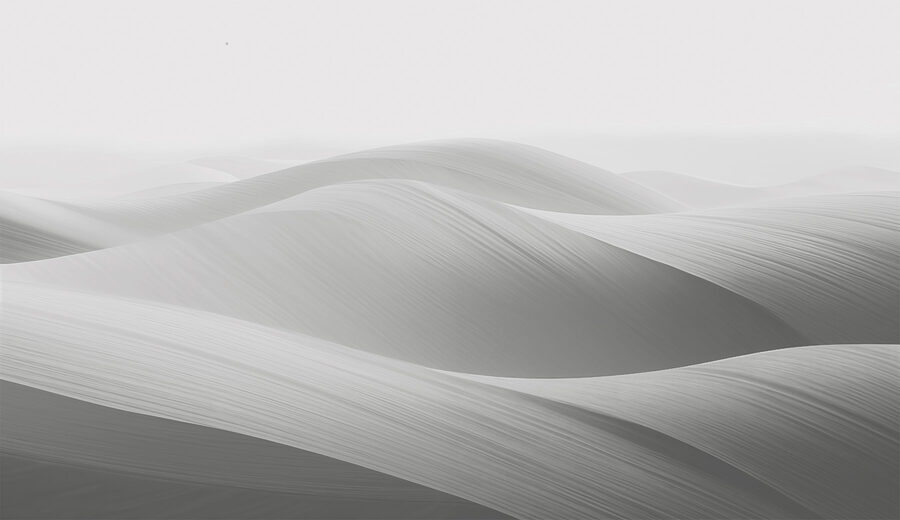 Paysage blanc et gris
