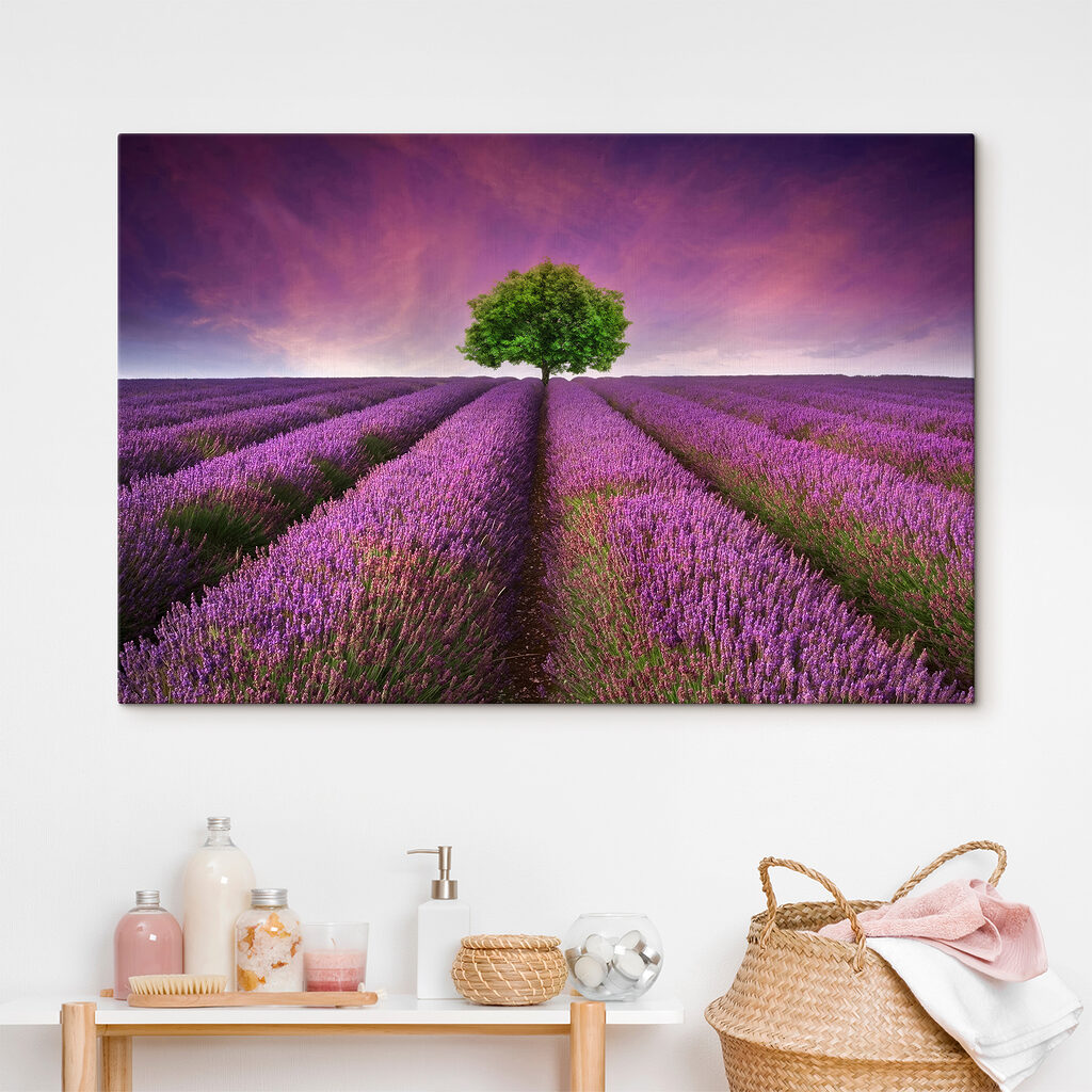 Tree in a field of lavender