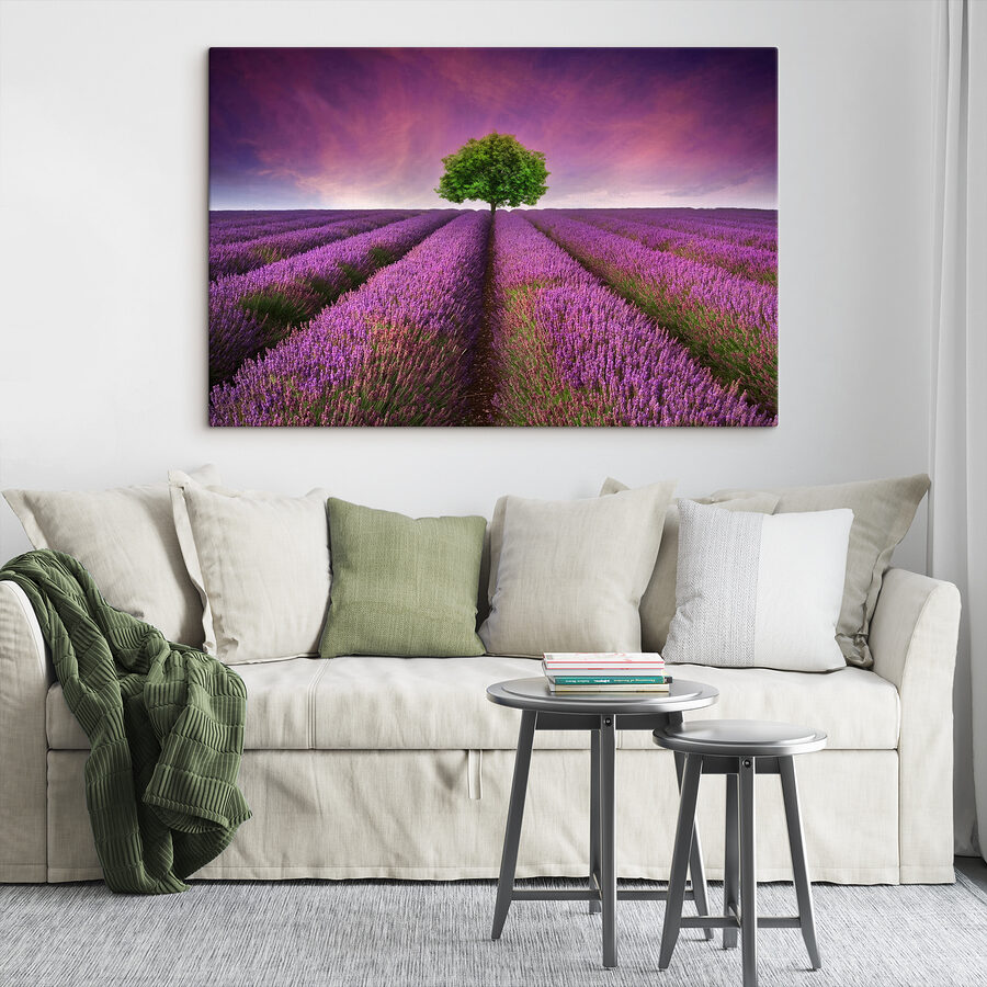 Arbre dans un champ de lavande
