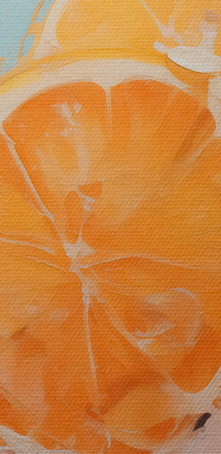 Groupe d'oranges coupées en deux