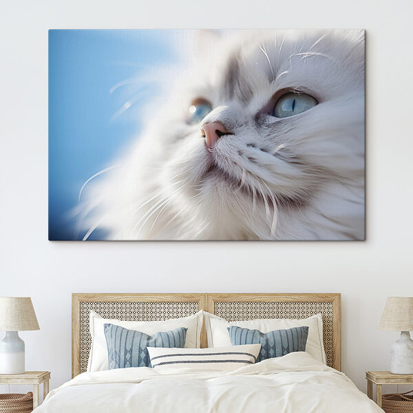 Gros plan sur un chat Gros plan sur un chat