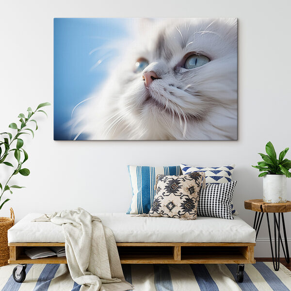 Gros plan sur un chat Gros plan sur un chat