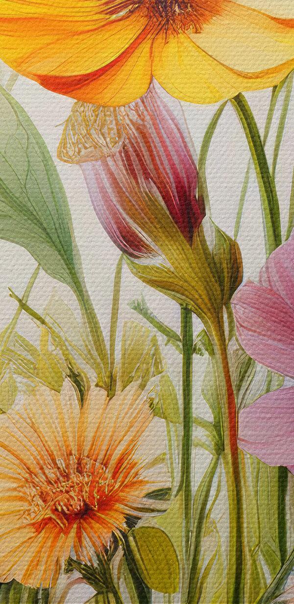 Gros plan sur des fleurs Gros plan sur des fleurs