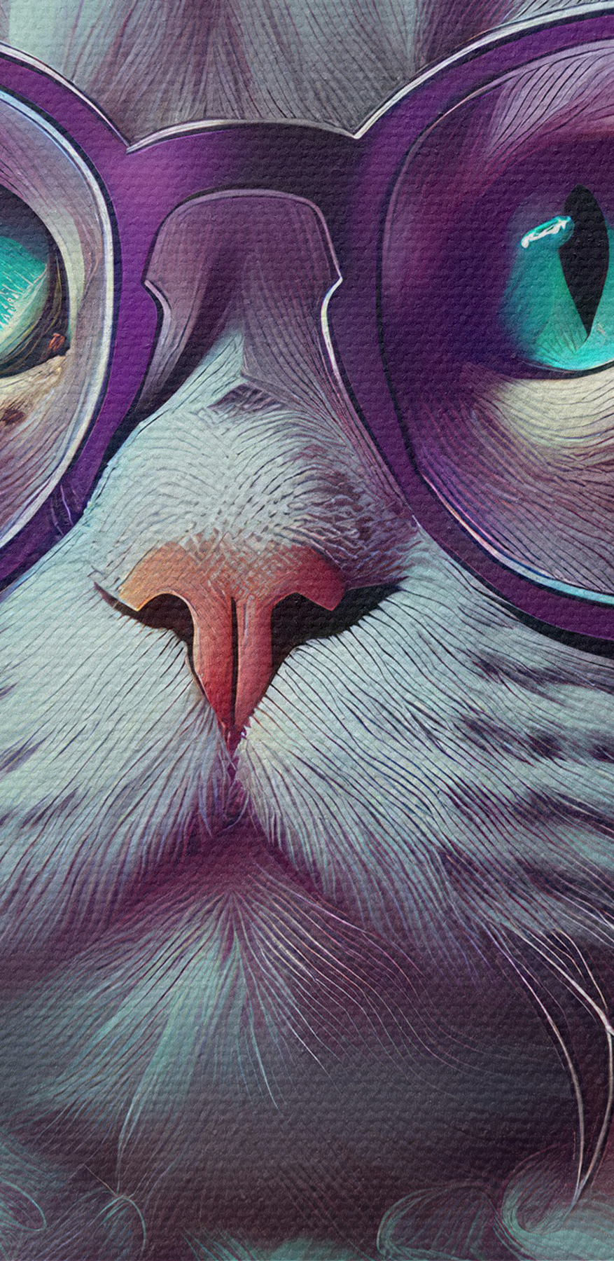 Chat portant des lunettes