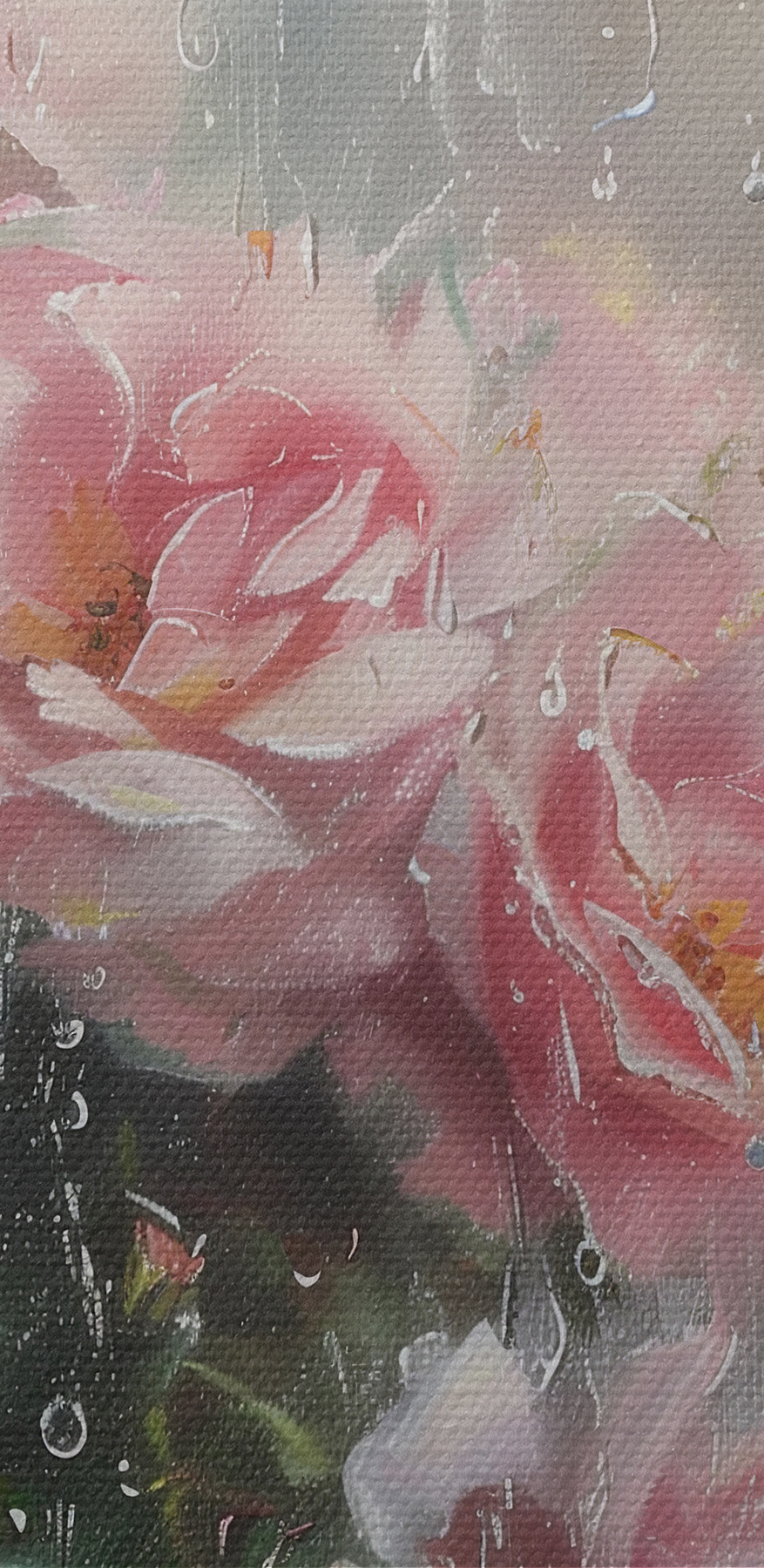 Gros plan sur des fleurs