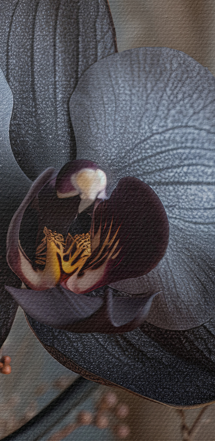 Fleur noire avec des fleurs blanches