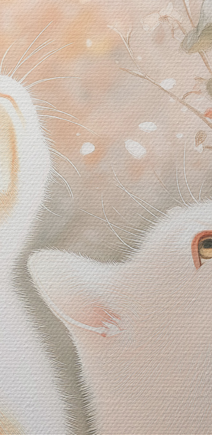 Deux chats regardant par la fenêtre