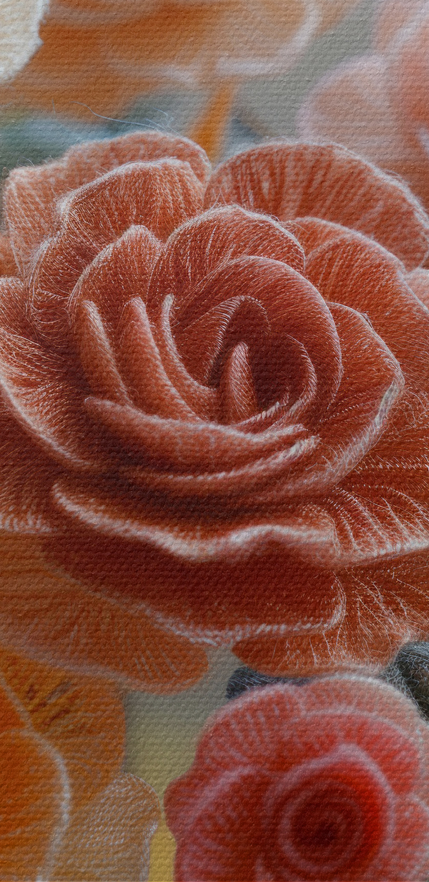 Gros plan sur des fleurs