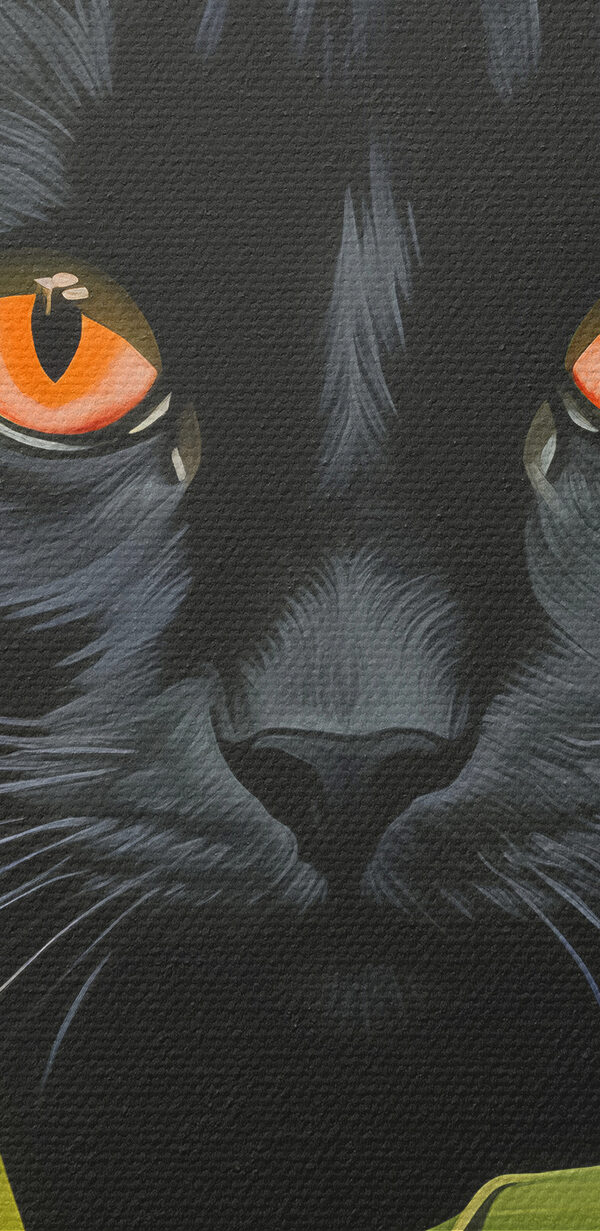 Chat noir aux yeux orange regardant à travers de grandes plantes vertes Chat noir aux yeux orange regardant à travers de grandes plantes vertes