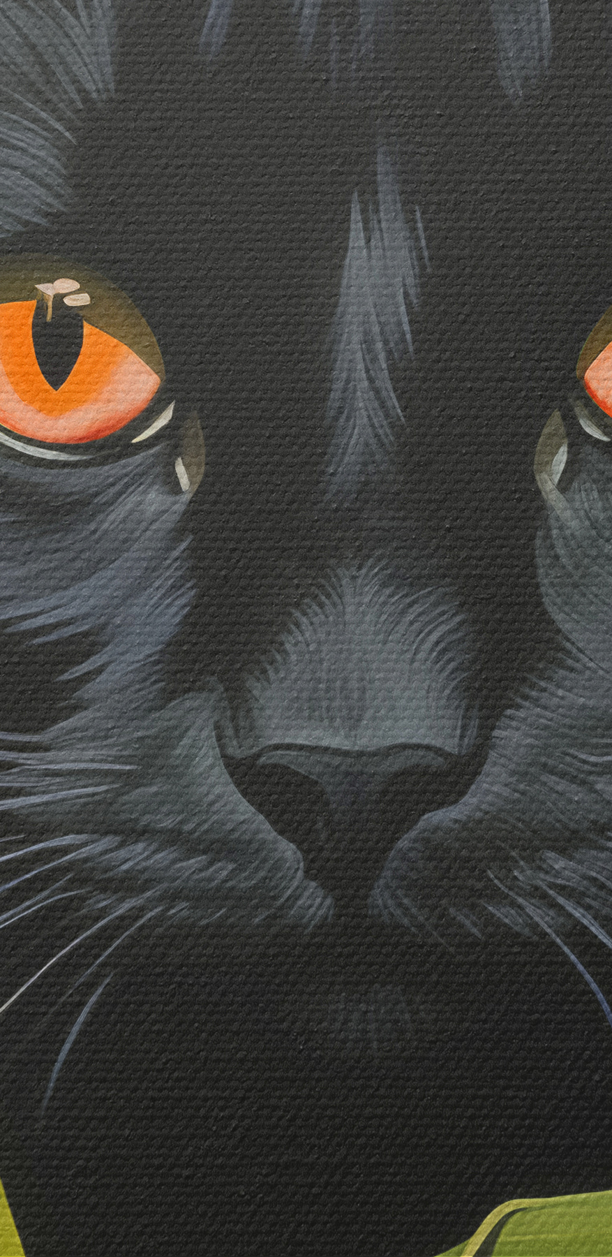 Chat noir aux yeux orange regardant à travers de grandes plantes vertes Chat noir aux yeux orange regardant à travers de grandes plantes vertes
