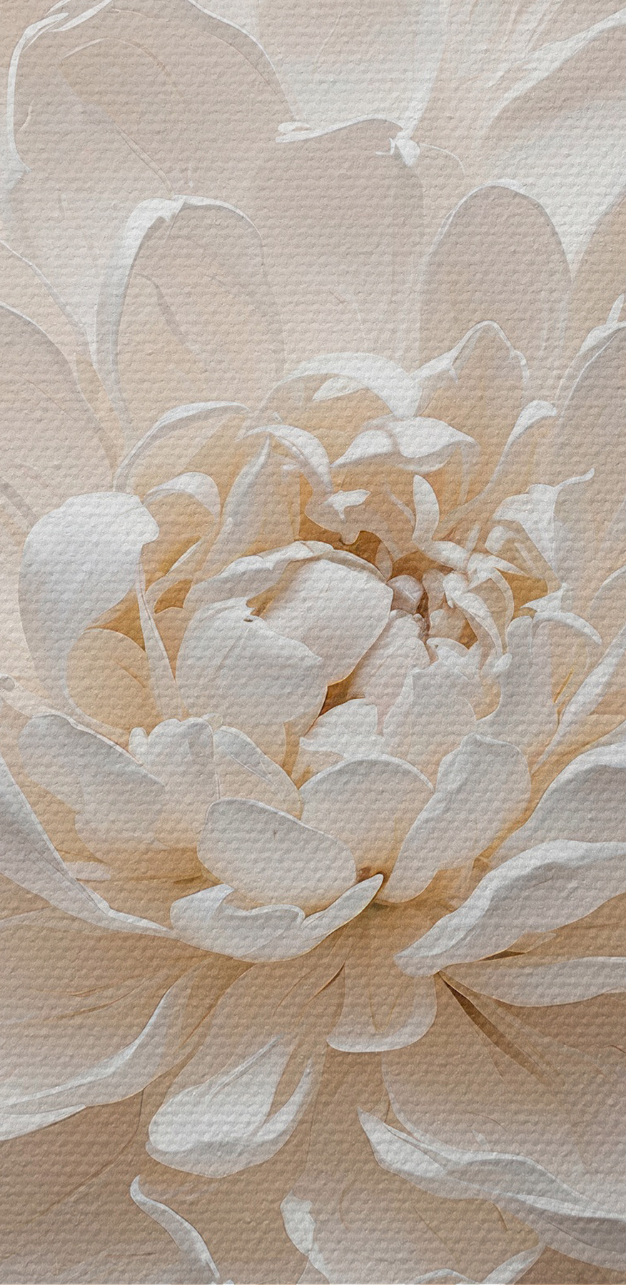 Gros plan sur une fleur Gros plan sur une fleur
