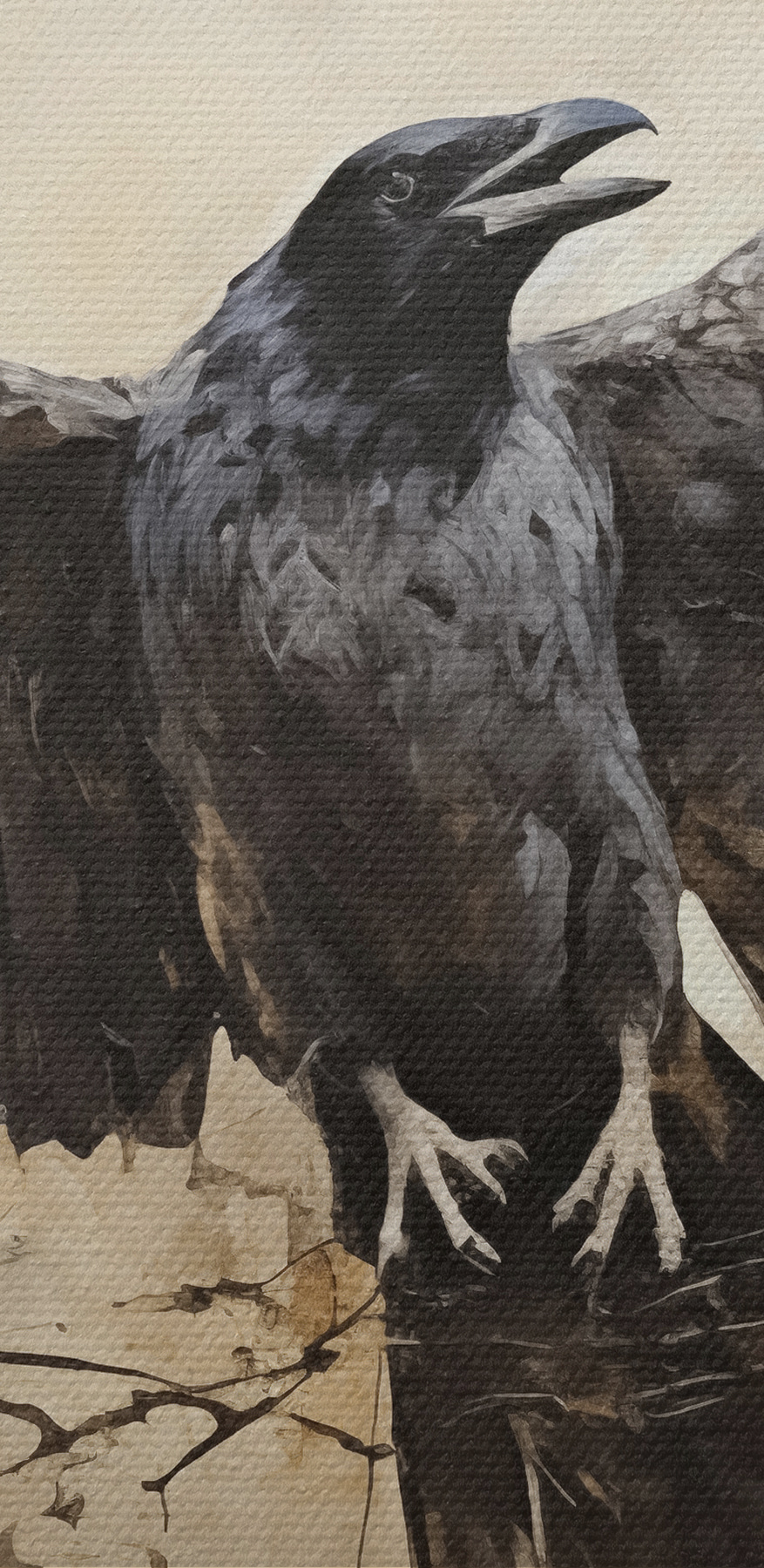 Oiseau aux ailes déployées