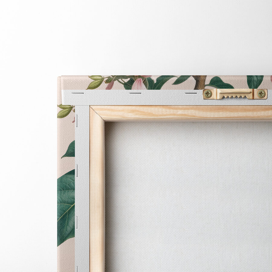 Groupe de fruits sur une plante