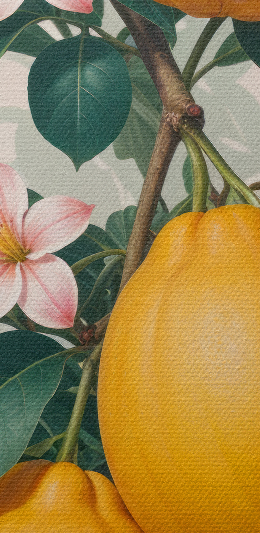 Groupe de fruits sur une plante