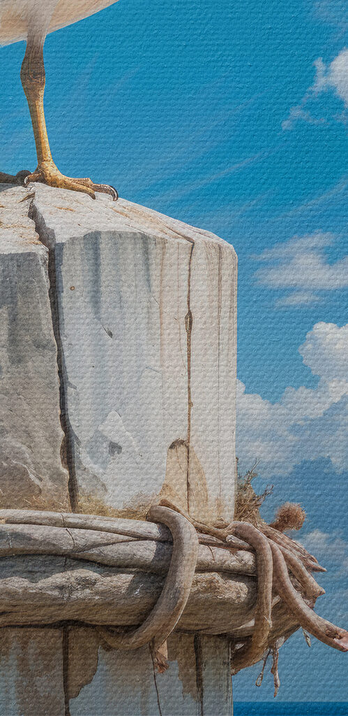 Seagull standing on a wooden post