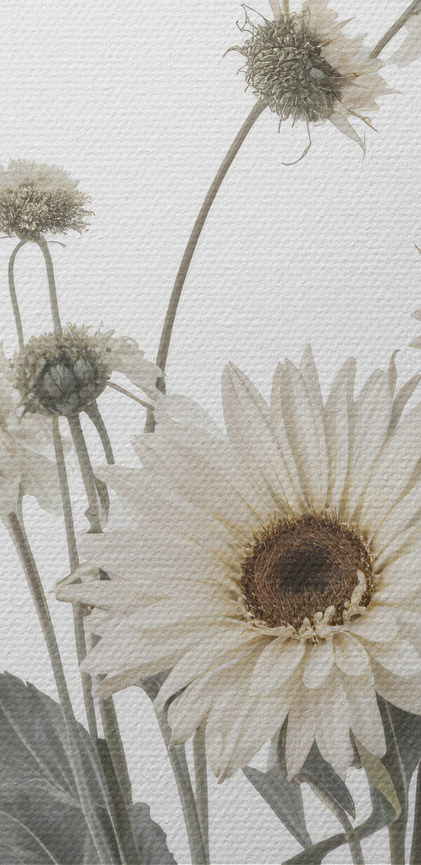 Groupe de fleurs blanches Groupe de fleurs blanches