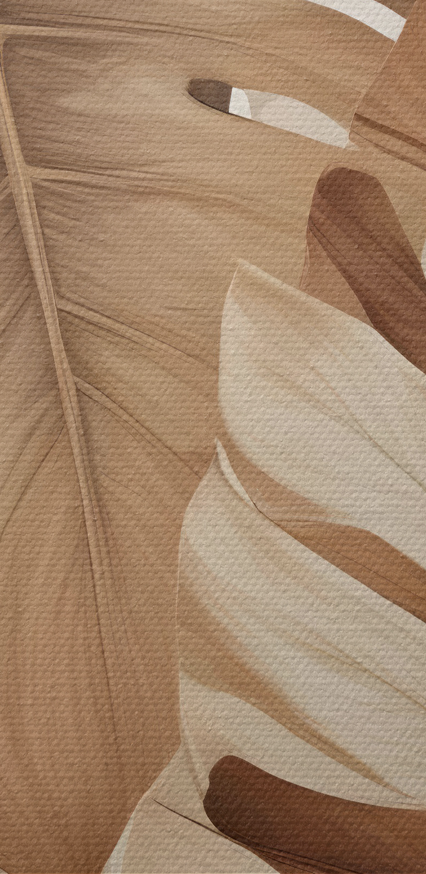 Groupe de feuilles brunes et blanches