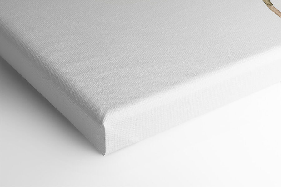Aquarelle d'une feuille