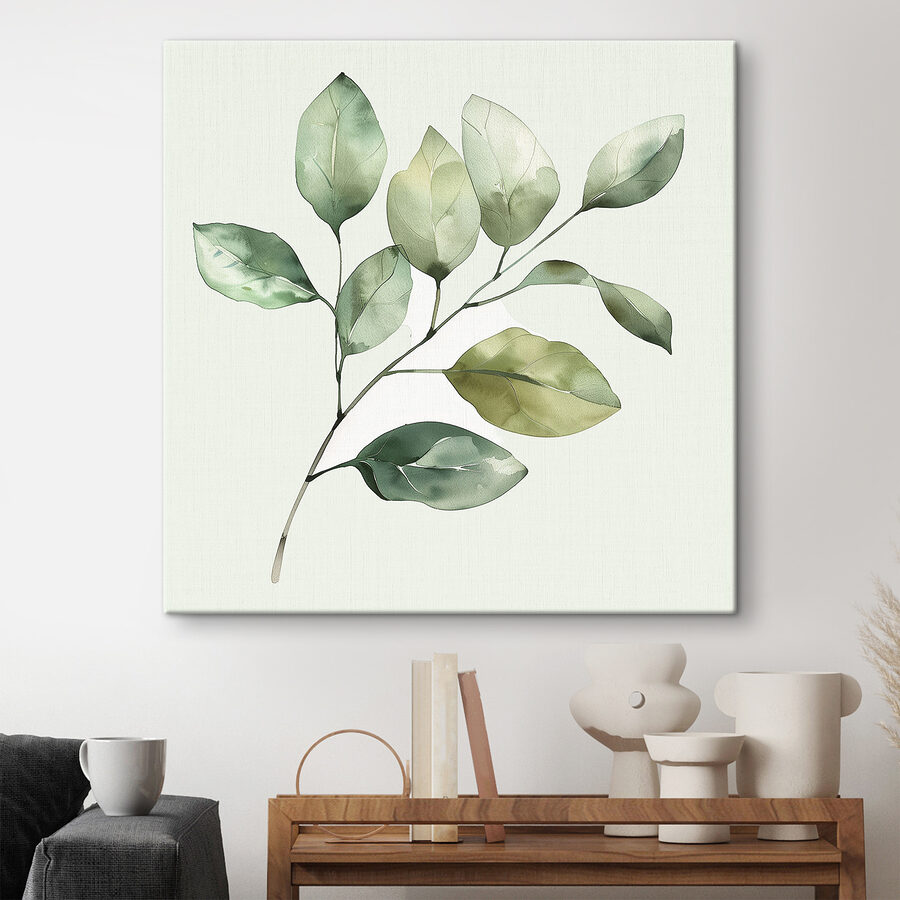 Plante verte feuillue sur fond blanc