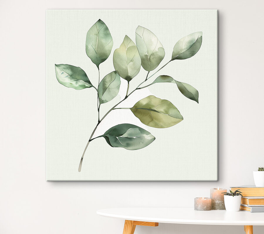 Plante verte feuillue sur fond blanc