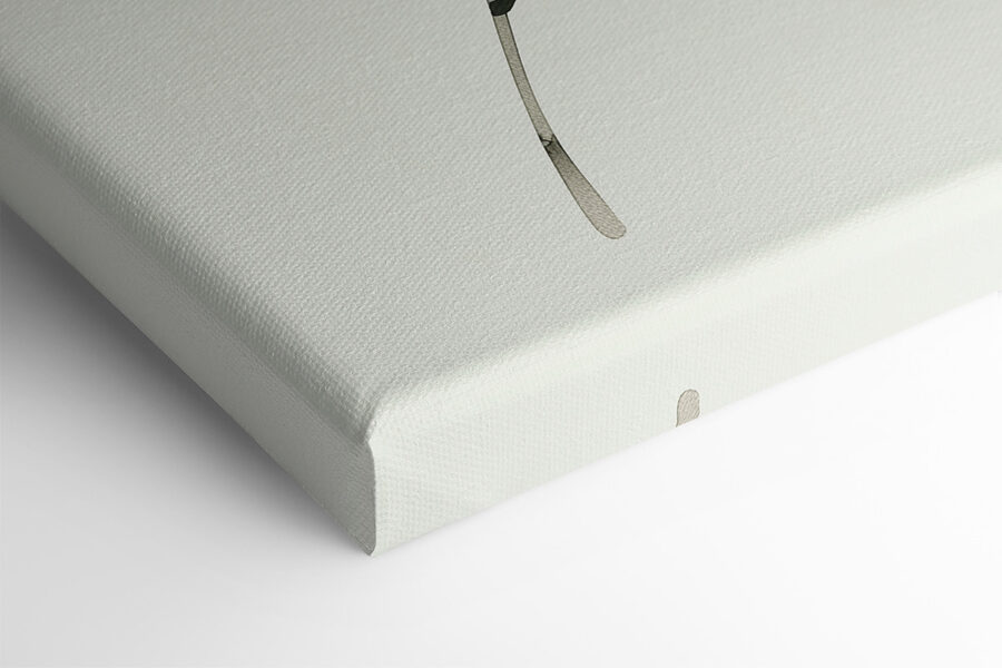 Plante verte feuillue sur fond blanc