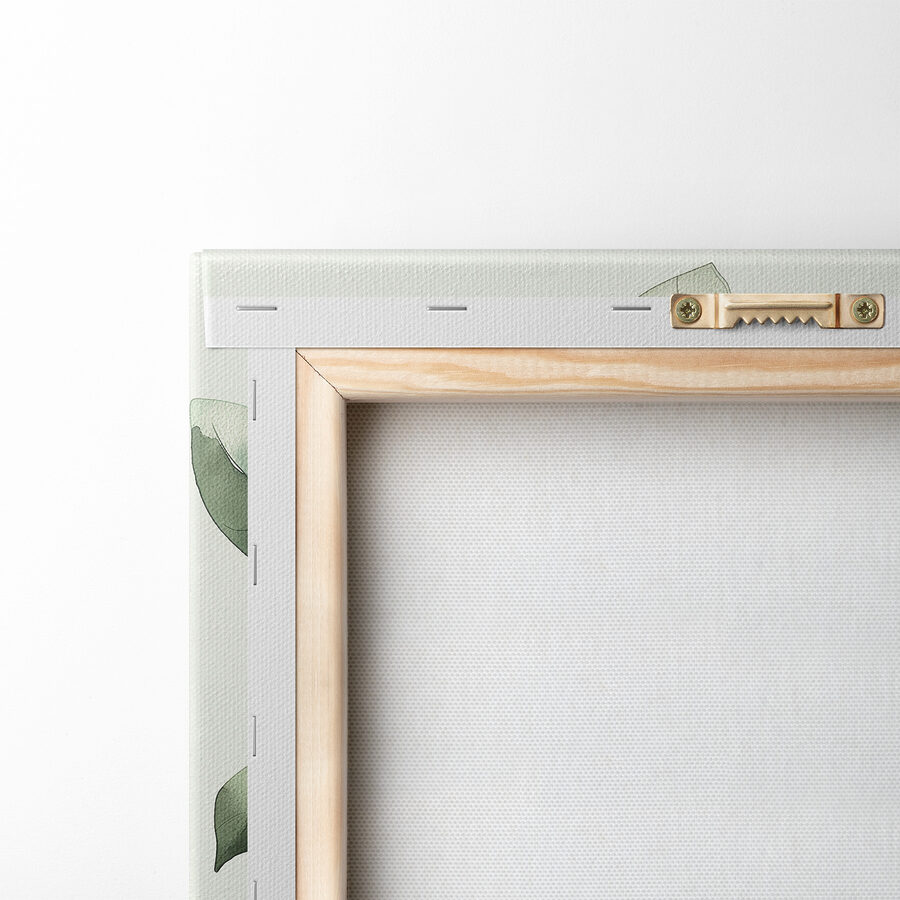 Plante verte feuillue sur fond blanc