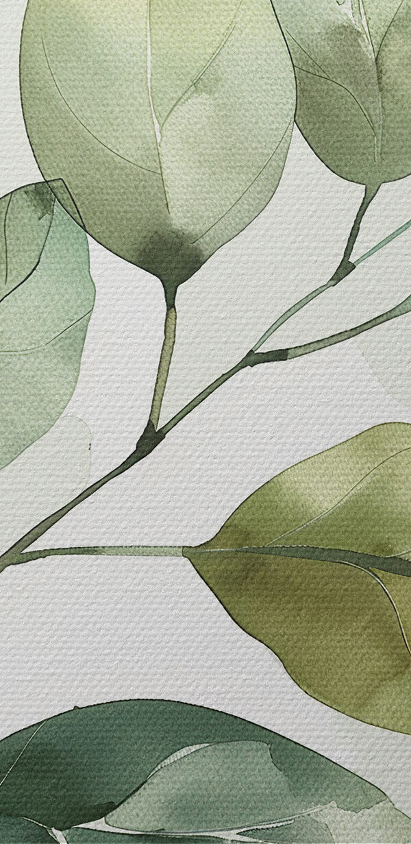 Plante verte feuillue sur fond blanc Plante verte feuillue sur fond blanc