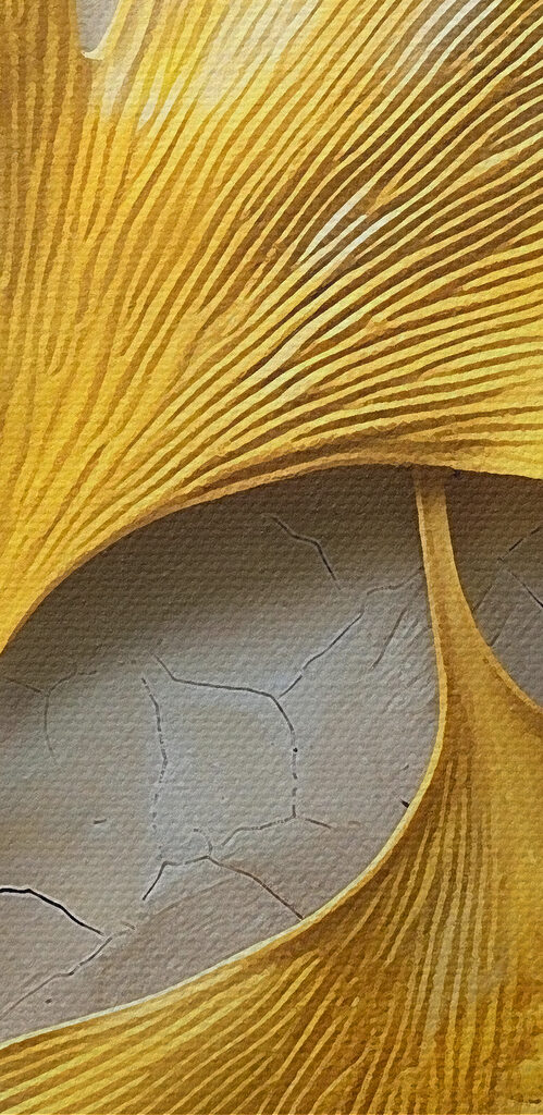 Yellow leaves on a white surface