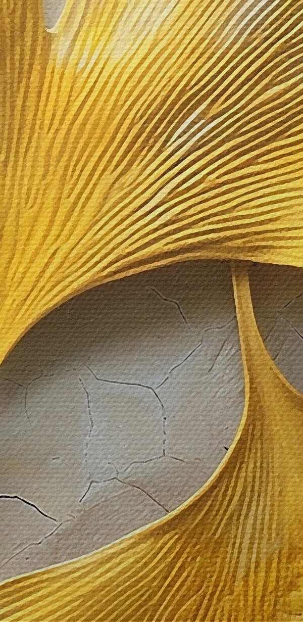 Feuilles jaunes sur une surface blanche Feuilles jaunes sur une surface blanche