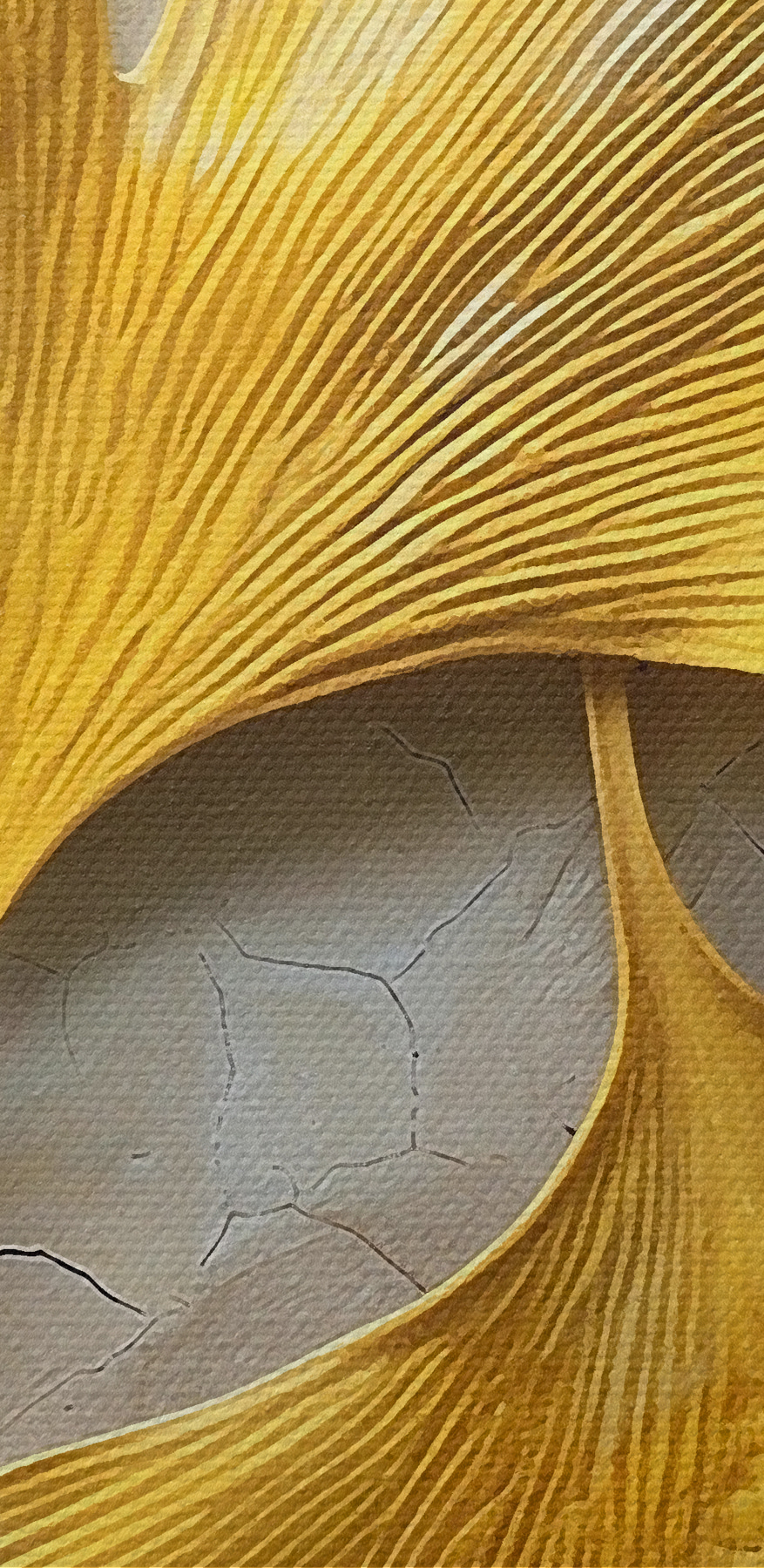 Feuilles jaunes sur une surface blanche