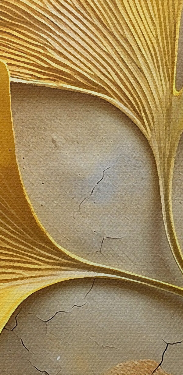 Feuilles jaunes sur une surface en béton Feuilles jaunes sur une surface en béton