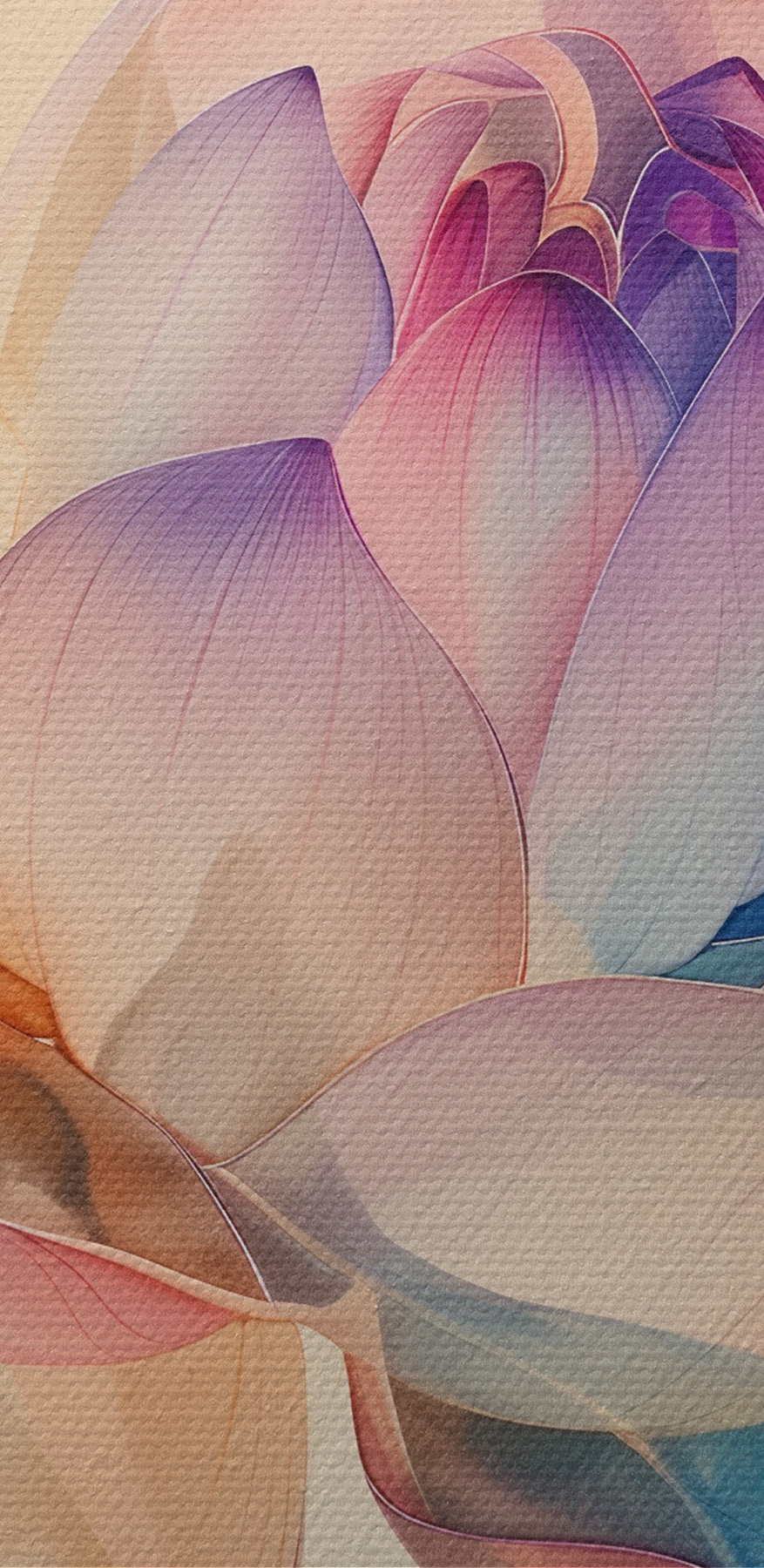 Gros plan sur une fleur