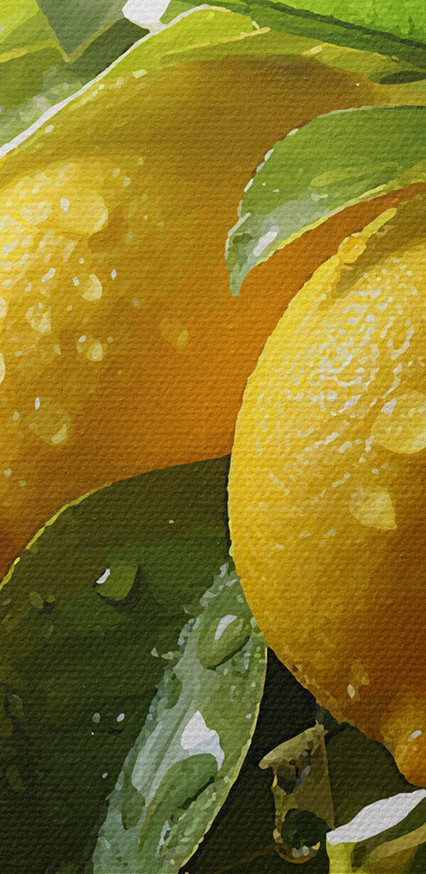 Groupe de citrons sur un arbre Groupe de citrons sur un arbre