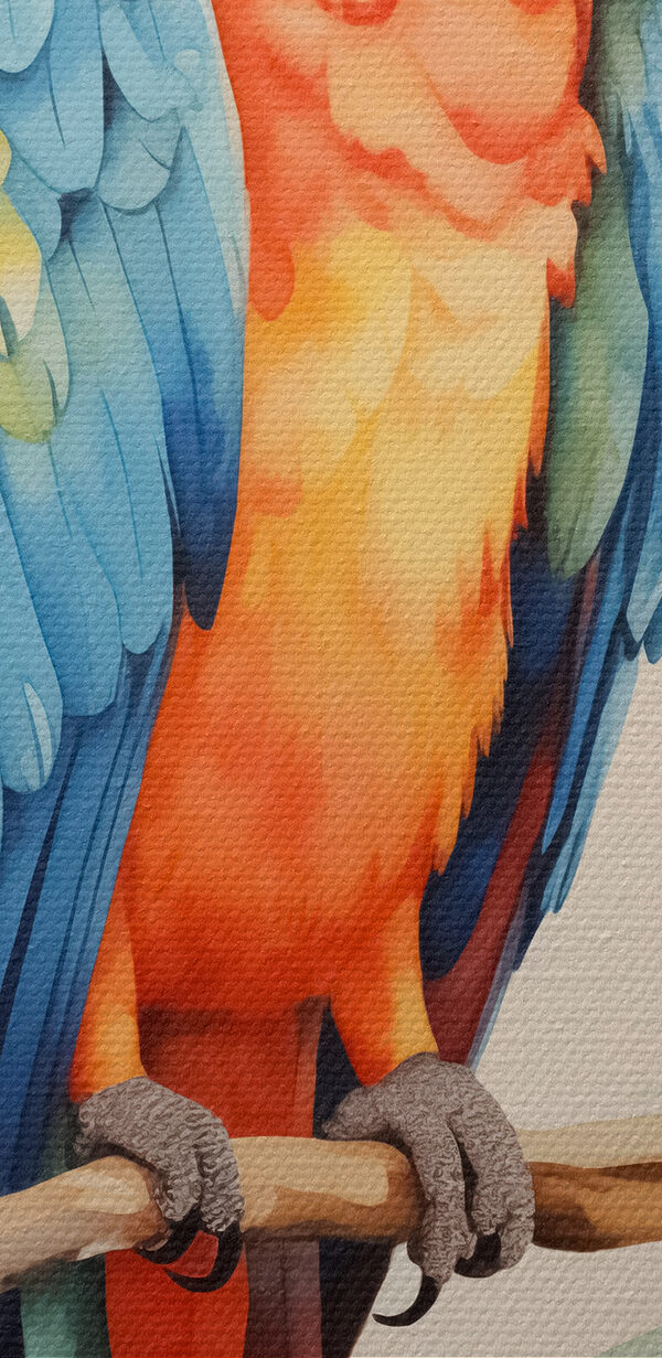 Oiseau coloré sur une branche Oiseau coloré sur une branche