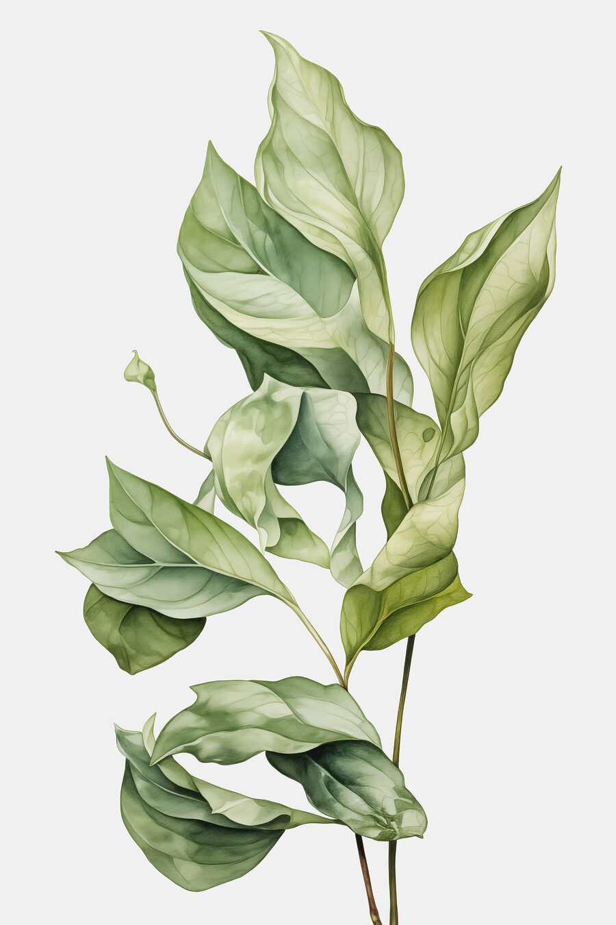 Gros plan d'une plante