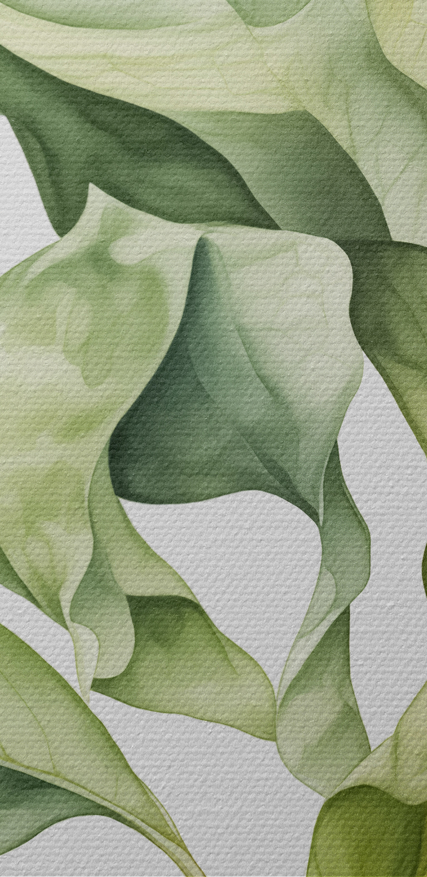 Gros plan d'une plante