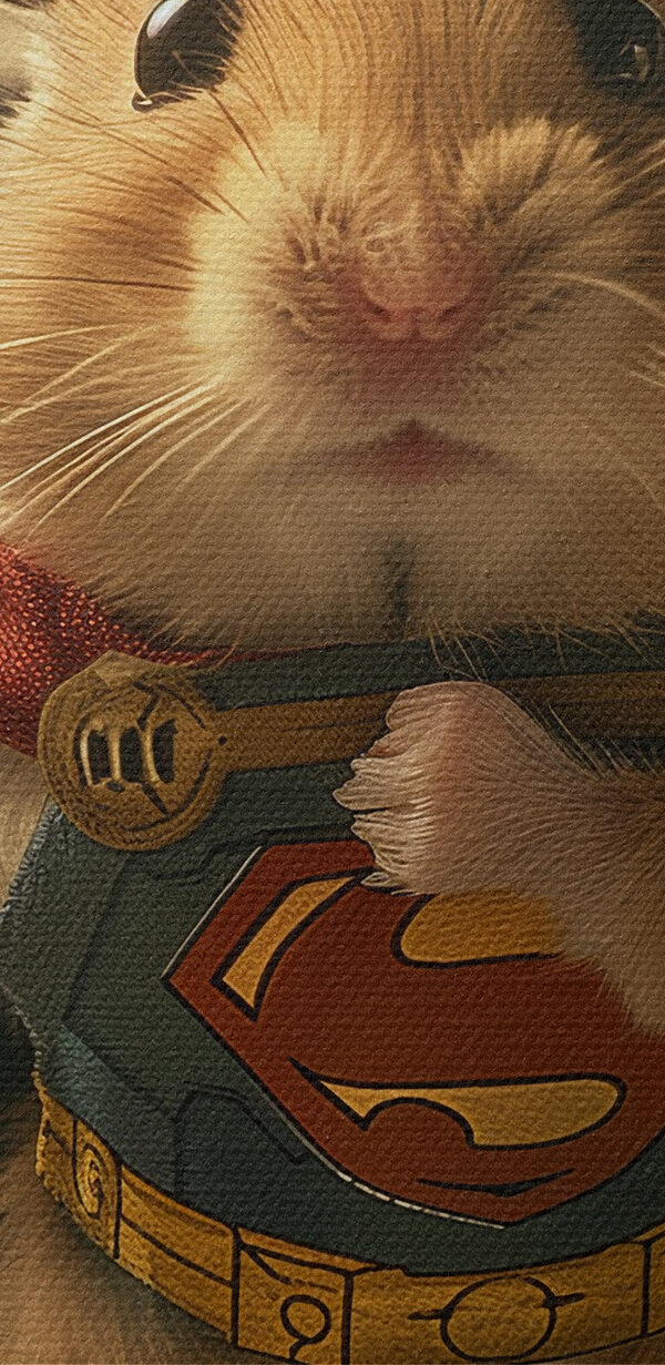 Hamster portant une cape et tenant un marteau Hamster portant une cape et tenant un marteau