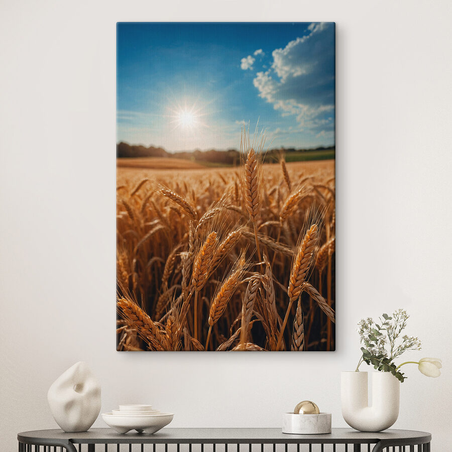 Champ de blé avec le soleil en arrière-plan