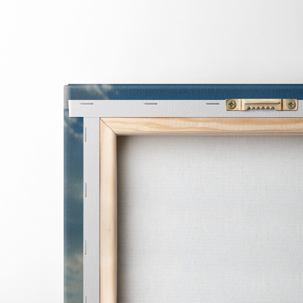 Field of wheat with the sun shining in the background