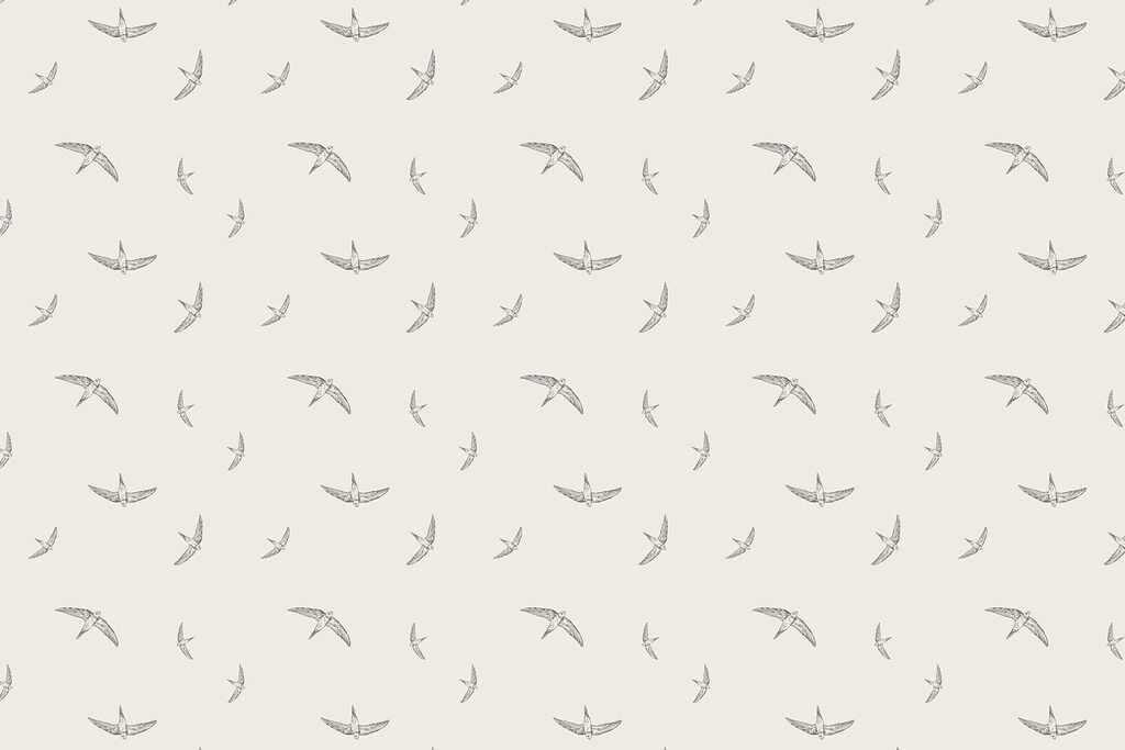 Motif d'oiseaux sur fond blanc Motif d'oiseaux sur fond blanc