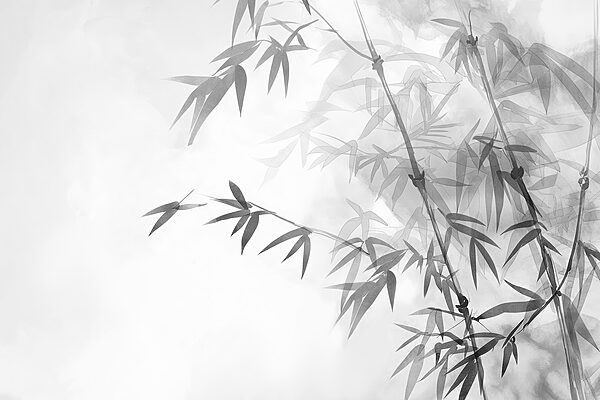 Feuilles de bambou sur une branche Feuilles de bambou sur une branche