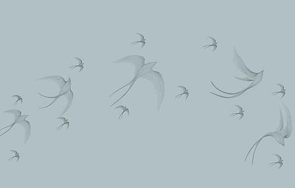 Groupe d'oiseaux en vol Groupe d'oiseaux en vol