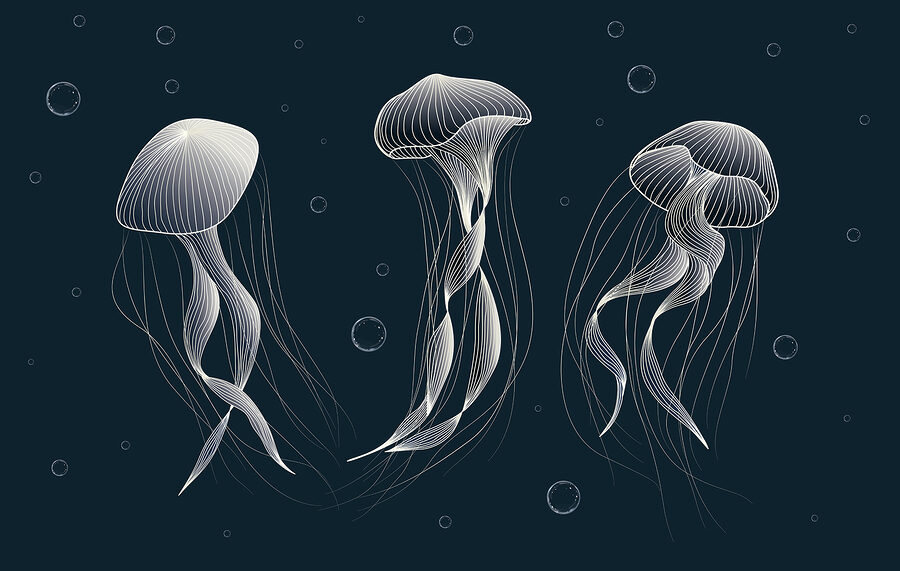 Groupe de méduses dans l'eau