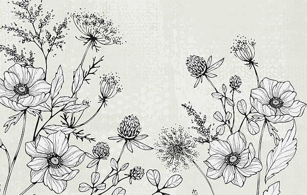 Dessin de fleurs et de feuilles Dessin de fleurs et de feuilles
