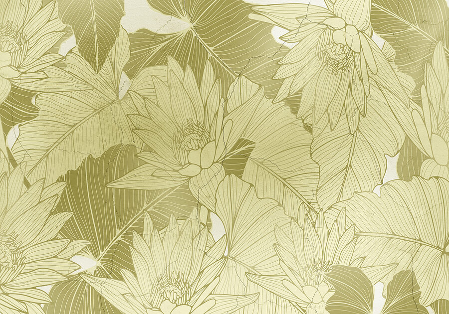 Gros plan sur une fleur