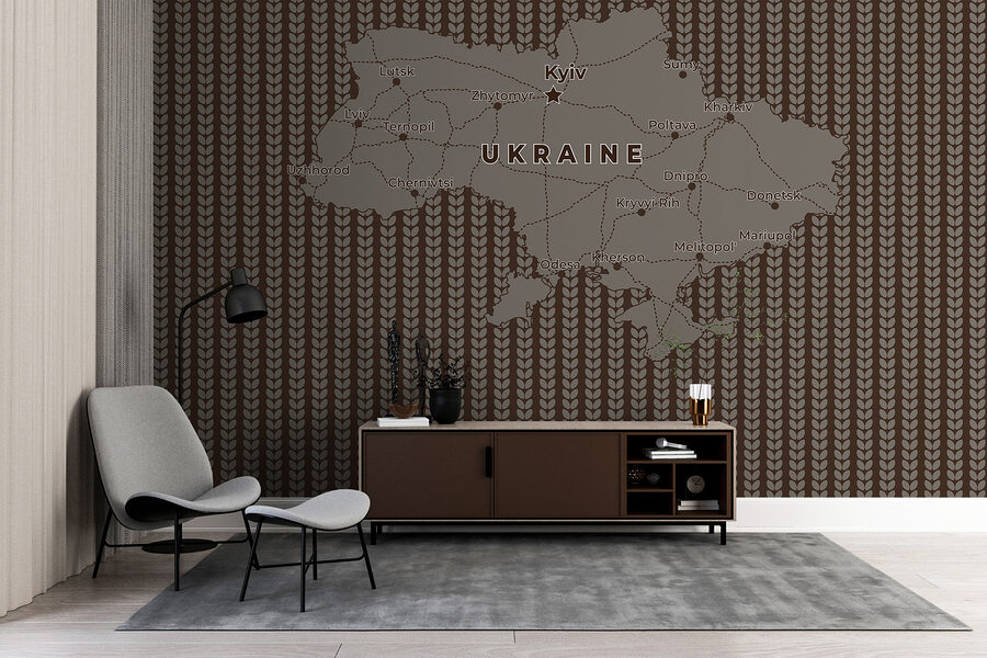 Carte de l'Ukraine avec les lignes et les villes