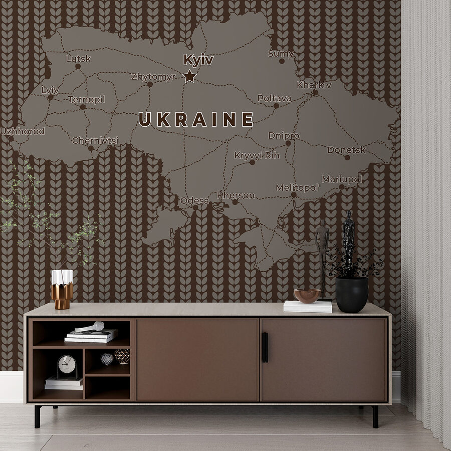 Carte de l'Ukraine avec les lignes et les villes