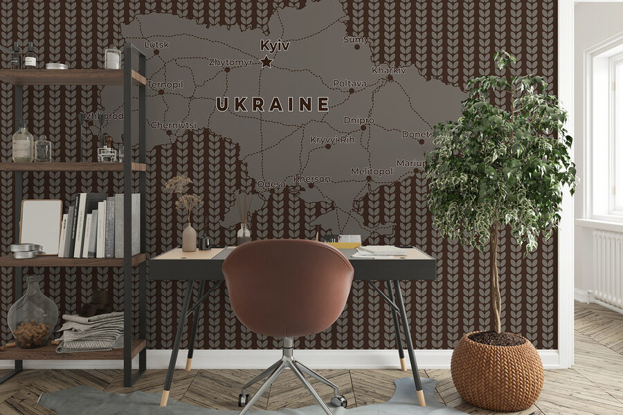 Carte de l'Ukraine avec les lignes et les villes